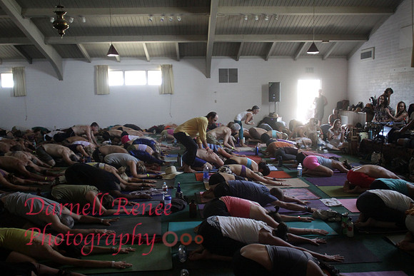 Bhakti Fest 2012, Joshua Tree.