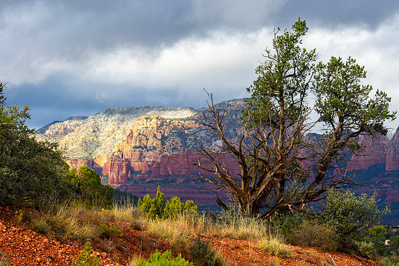 Wilson Mountain, Sedona, Arizona