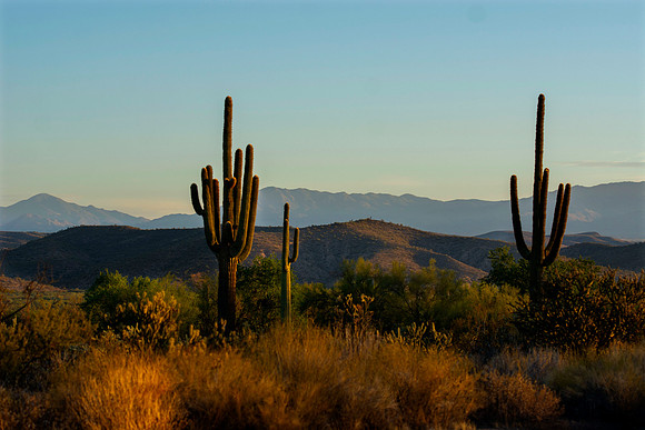Tonto National Forest, Chandler, Arizona